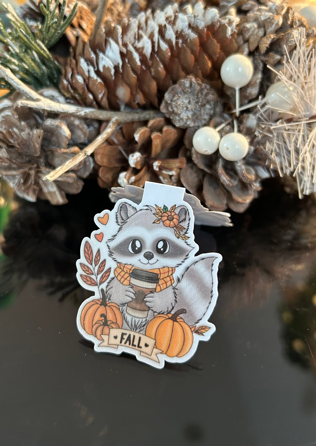 Lesezeichen magnetisch Waschbär